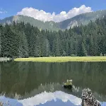 Pine Forest Aparthotel