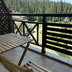 Pine Forest Pamporovo