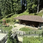 Pine Forest Aparthotel 4*