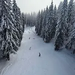 Pine Forest 4* Pamporovo