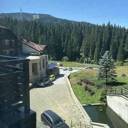 Aparthotel Pine Forest 409