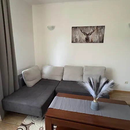 Pine Forest 409 Aparthotel 4*