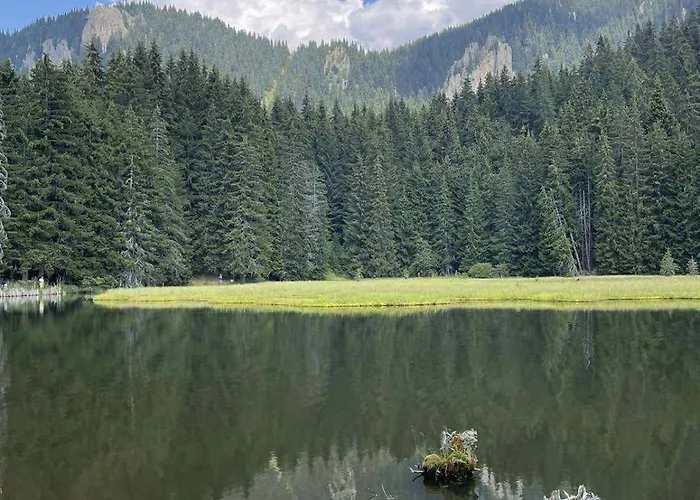 Pine Forest Aparthotel