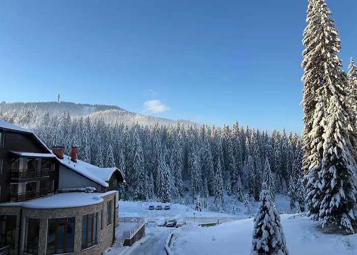 Pine Forest Aparthotel